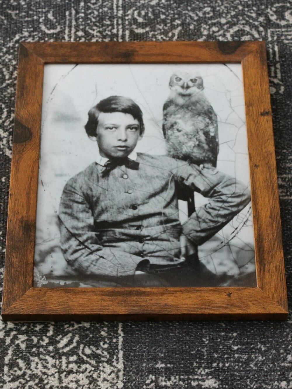Framed Vintage Boy with Pet Owl Tintype 1860s Portrait Photo Print 8x10